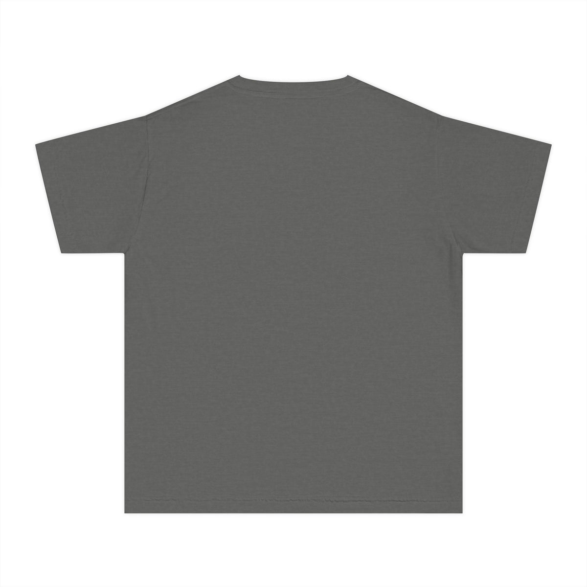 Cheer Inc. Competition Division Youth T-Shirt | Your Next Level Is Earned | Girls Cheer Comfort Colors Youth Tee