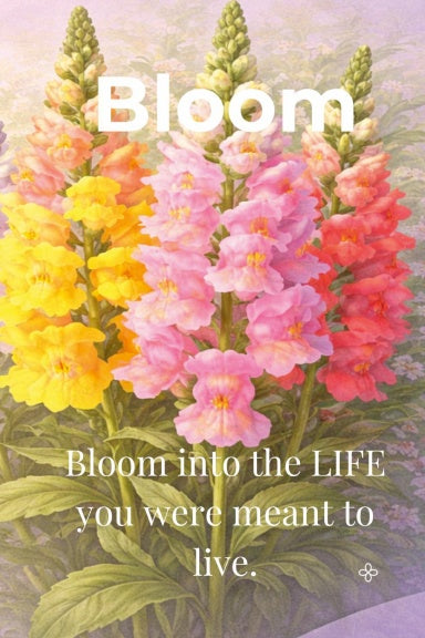 Book Cover Variant Thumbnail