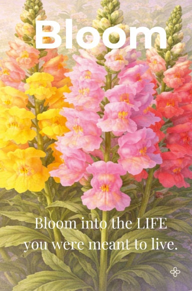 Book Cover Variant Thumbnail